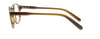 #colour_brown-tortoise
