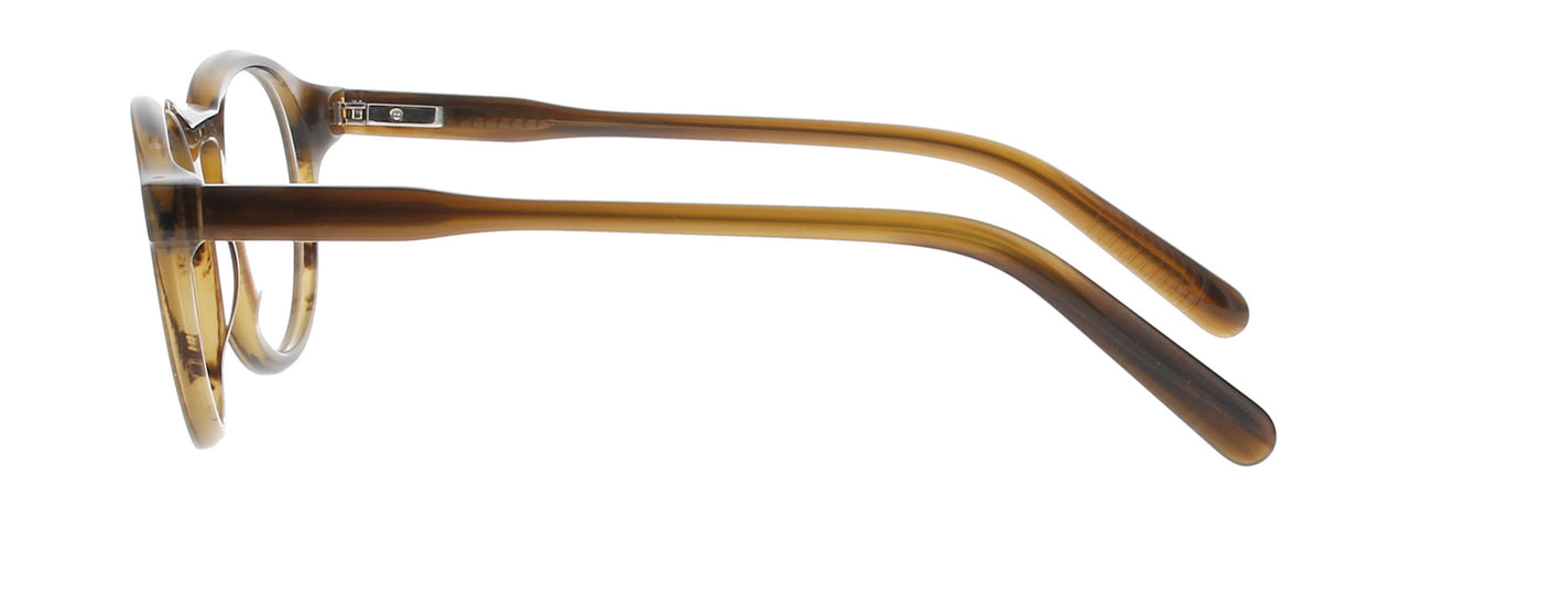 #colour_brown-tortoise