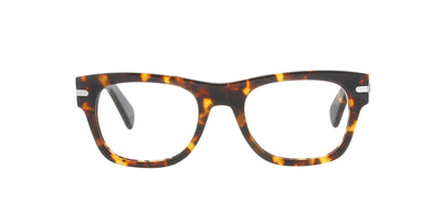 #colour_tortoise-havana