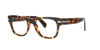 #colour_tortoise-havana