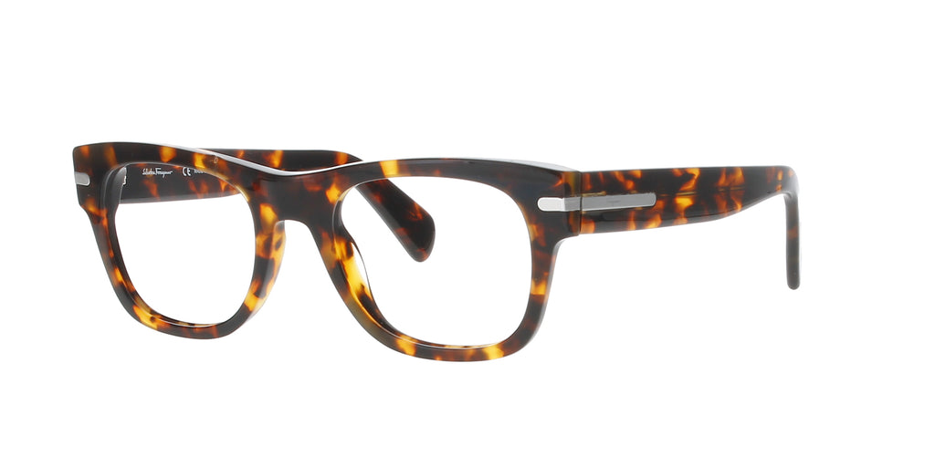 #colour_tortoise-havana