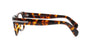 #colour_tortoise-havana