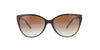 Tiffany Cat-Eye Havana on Blue Sunglasses