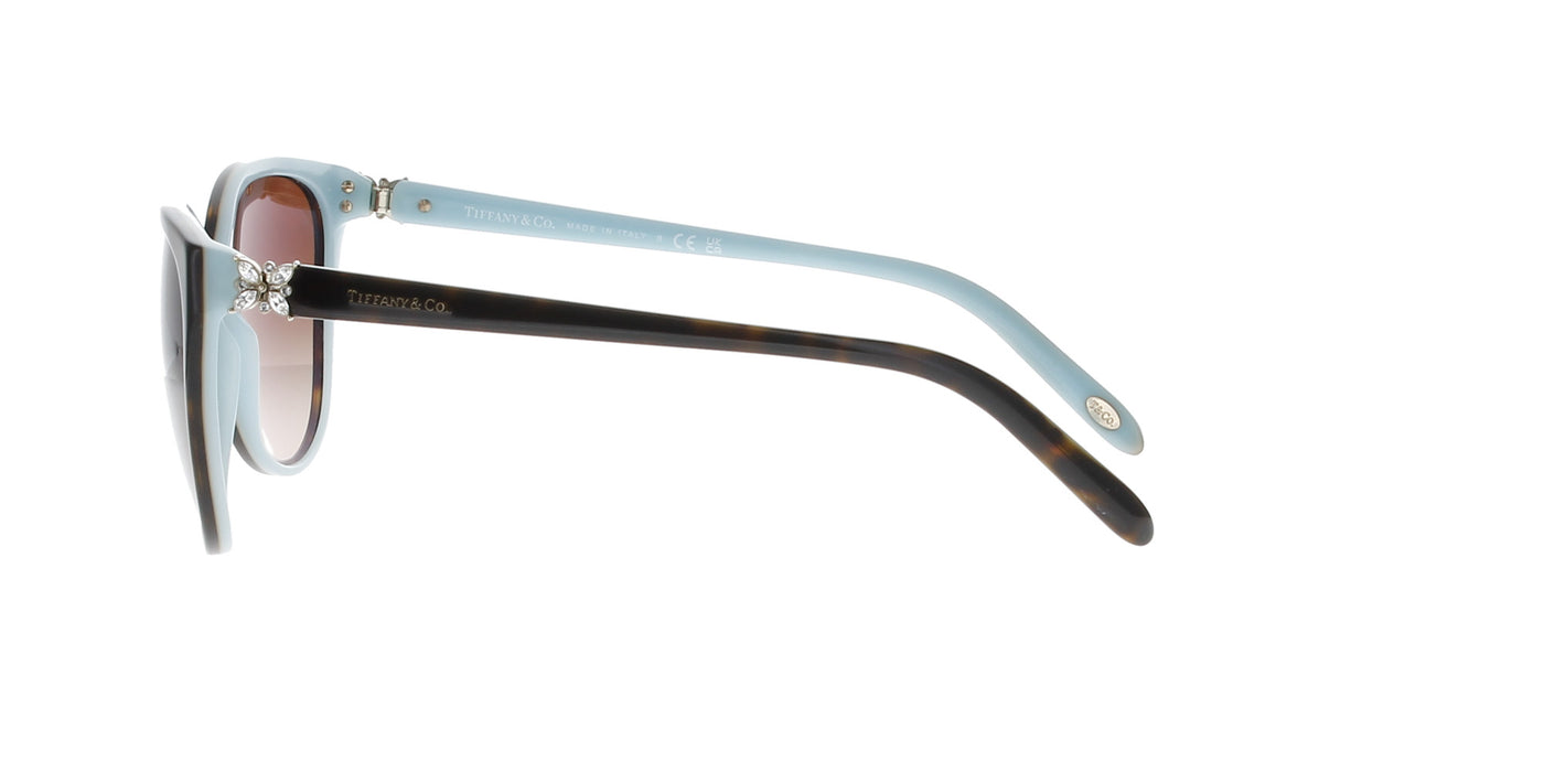 Tiffany Cat-Eye Havana on Blue Sunglasses