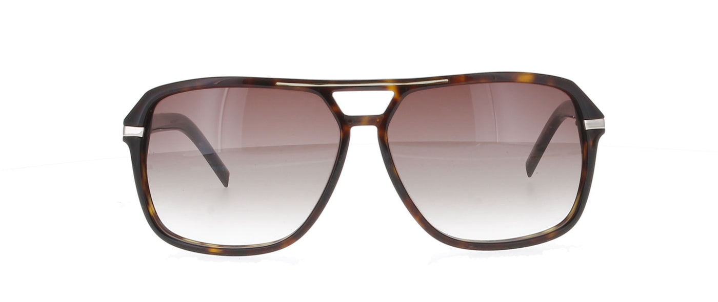#colour_brown-tortoise