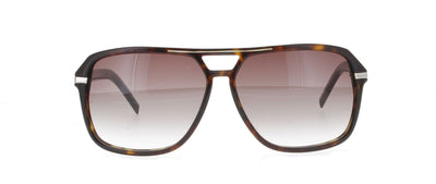 #colour_brown-tortoise