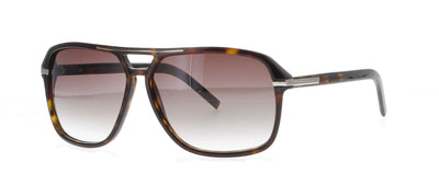 #colour_brown-tortoise