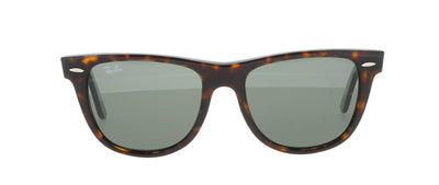 #colour_tortoise