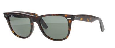 #colour_tortoise