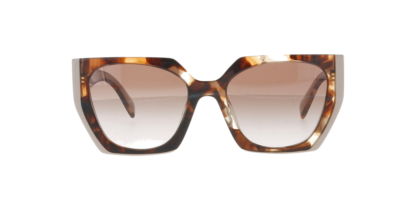 #colour_tortoise-caramel-powder
