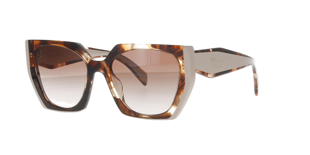 #colour_tortoise-caramel-powder
