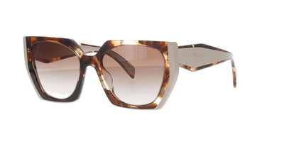 #colour_tortoise-caramel-powder