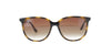 #colour_polished-havana