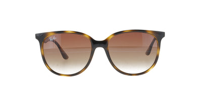 #colour_polished-havana