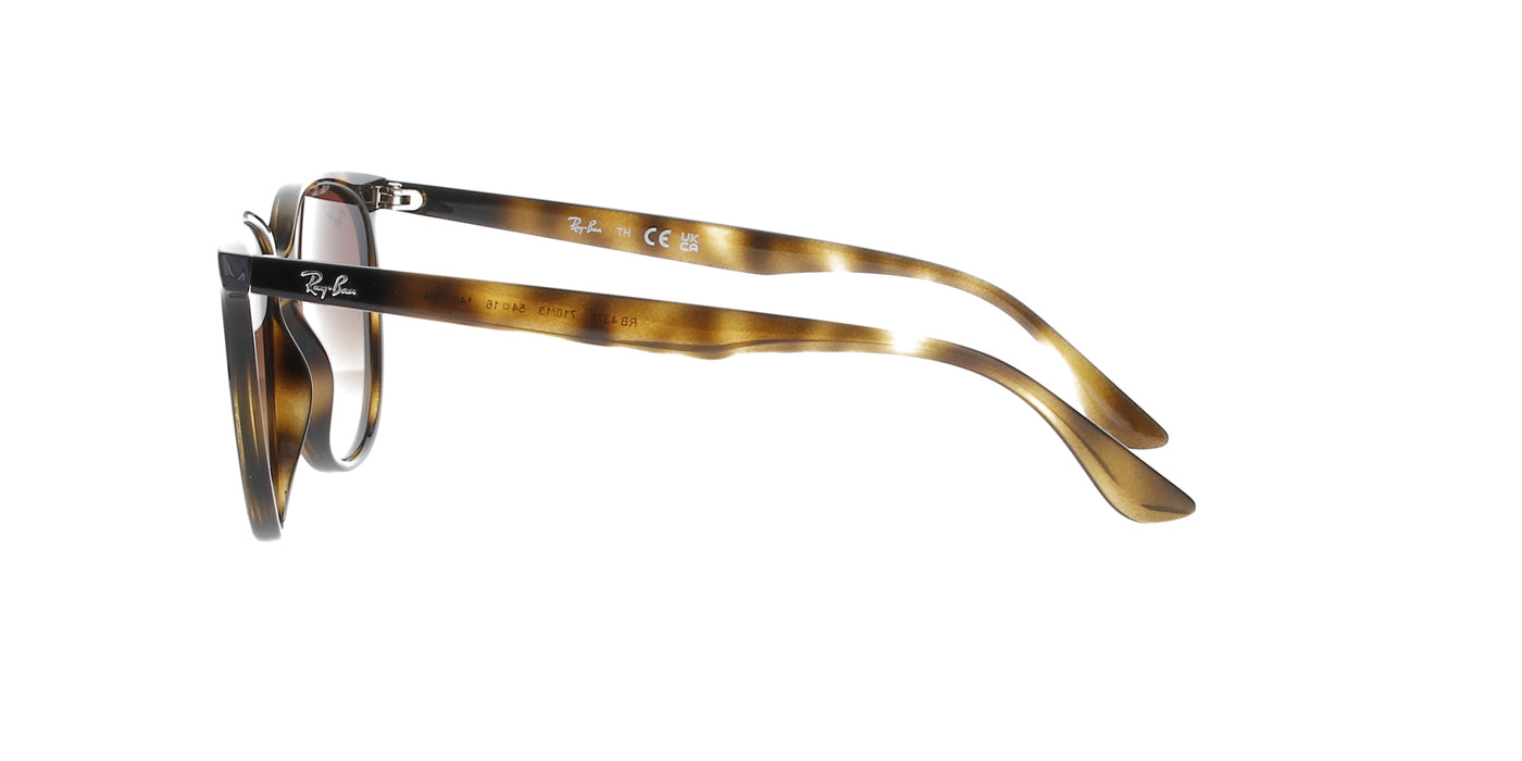 #colour_polished-havana