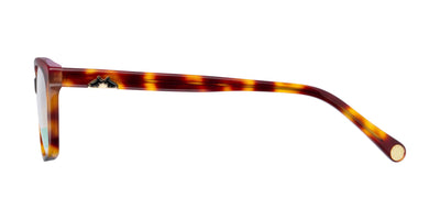 #colour_tortoise