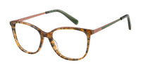 #colour_tortoise