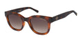 Radley RDS-6525