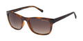 Radley RDS-6526