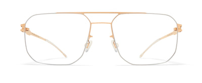 #colour_silver-champagne-gold