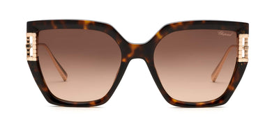 #colour_dark-havana-brown-gradient