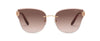 #colour_shiny-copper-gold-brown-gradient