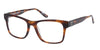 #colour_tortoise