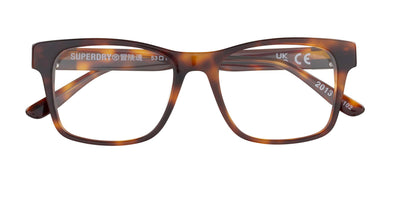 #colour_tortoise