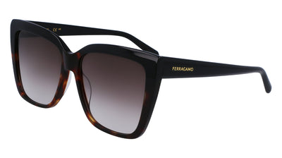 Ferragamo SF1102S Black/Tortoise/Brown #colour_black-tortoise-brown