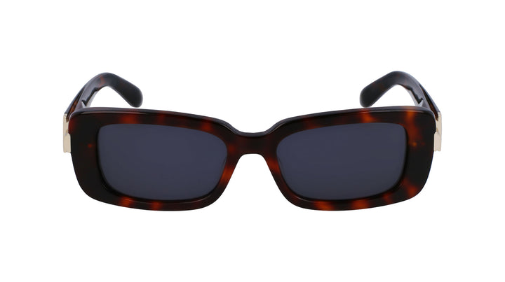 Ferragamo SF1105S Rectangle Sunglasses | Fashion Eyewear US display picture 1