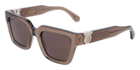 #colour_transparent-brown-brown
