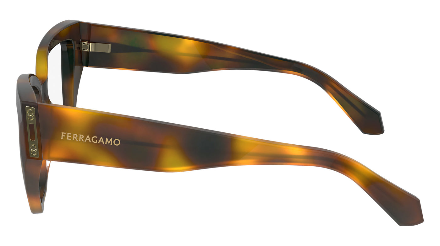 Ferragamo SF2972 Tortoise #colour_tortoise