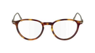 Ferragamo SF2976 Tortoise #colour_tortoise