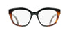 #colour_black-tortoise