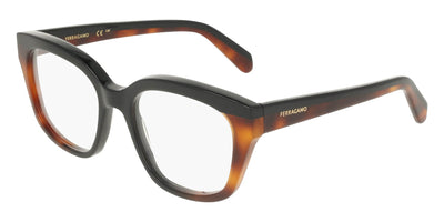#colour_black-tortoise