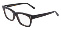 #colour_dark-tortoise