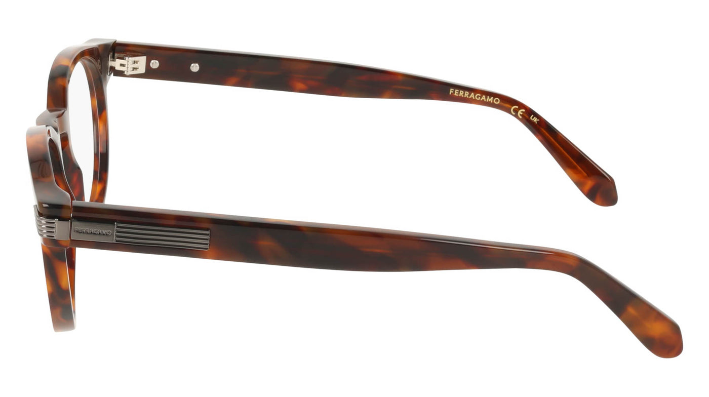 #colour_brown-tortoise