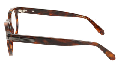 #colour_brown-tortoise