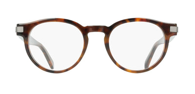 #colour_brown-tortoise