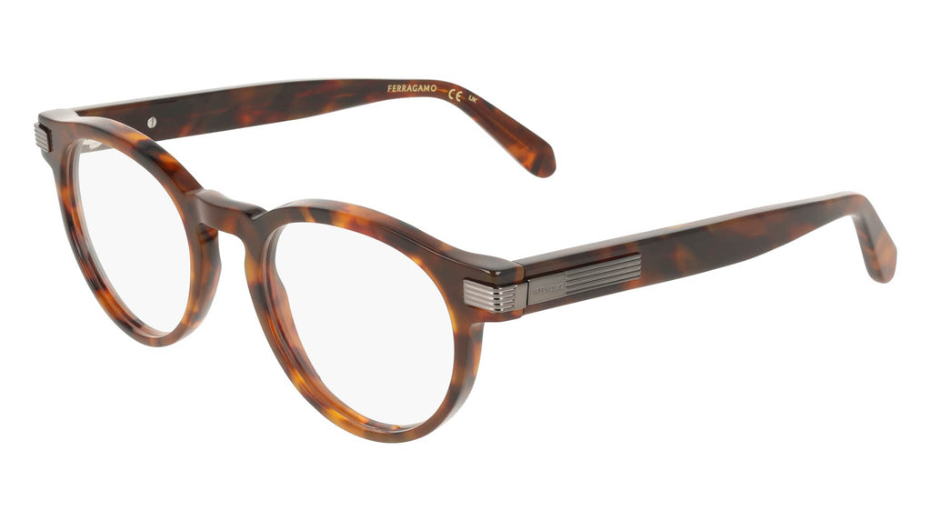 #colour_brown-tortoise