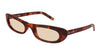 #colour_havana-brown