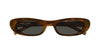 Saint Laurent SL 557 SHADE Plump#colour_havana/grey