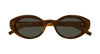 Saint Laurent SL 567 Plump#colour_havana/grey