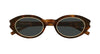 Saint Laurent SL 567 Rim#colour_havana/grey