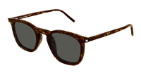Saint Laurent SL 623 Havana/Grey #colour_havana-grey