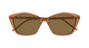 #colour_brown-brown