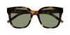 Saint Laurent SL M105/F Havana/Green #colour_havana-green