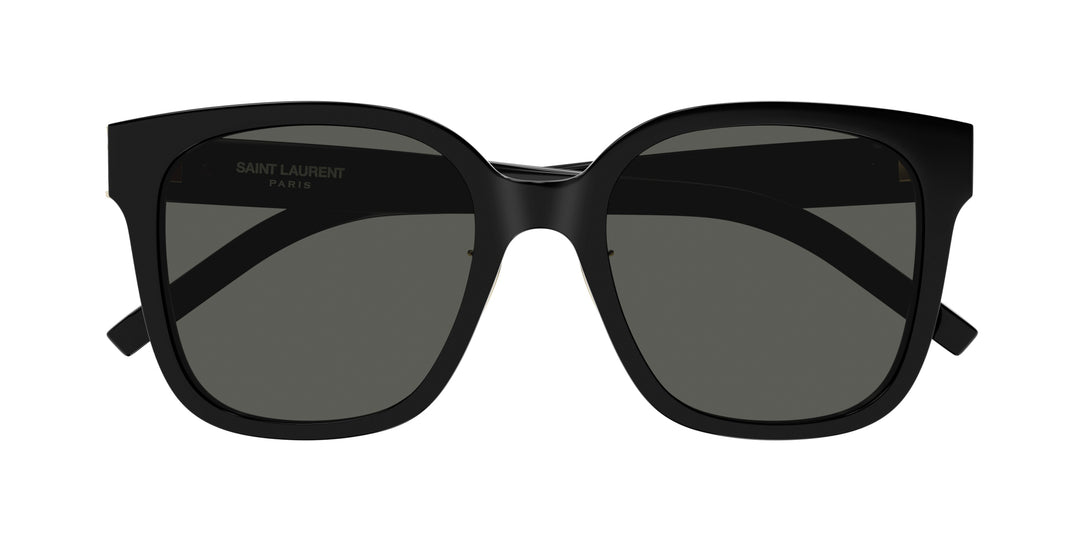 saint laurent モノグラム sl m105/f ケース付き