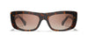 colour_brown-havana-brown-gradient-polarised