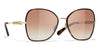 #colour_gold-brown-gradient-polarised